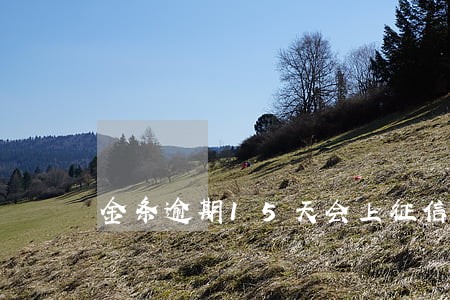 金条逾期15天会上征信吗 金条逾期15天会上征信吗