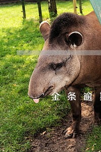 金条逾期15天冻结银行卡 金条逾期15天冻结银行卡