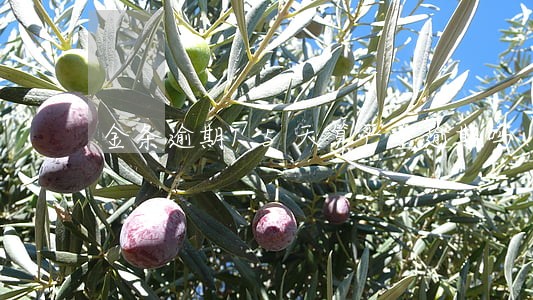 金条逾期15天算严重逾期吗 金条逾期15天算严重逾期吗