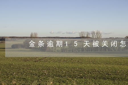 金条逾期15天被关闭怎么办 金条逾期15天被关闭怎么办