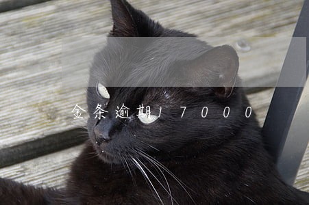 金条逾期17000 金条逾期17000