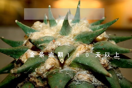 金条逾期180天以上 金条逾期180天以上