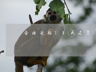 金条逾期18天还了