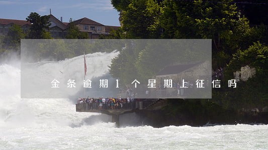 金条逾期1个星期上征信吗 金条逾期1个星期上征信吗