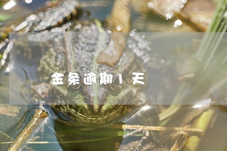 金条逾期1天 金条逾期1天