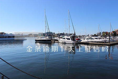 金条逾期1天上征信吗 金条逾期1天上征信吗