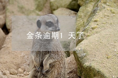 金条逾期1天了 金条逾期1天了