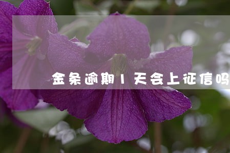 金条逾期1天会上征信吗 金条逾期1天会上征信吗