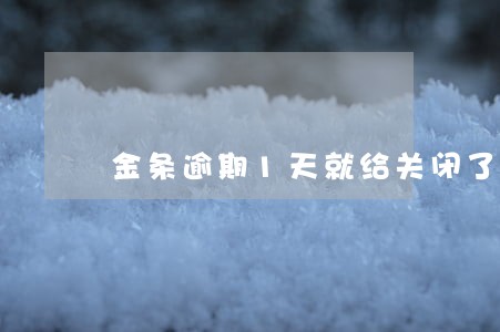 金条逾期1天就给关闭了 金条逾期1天就给关闭了