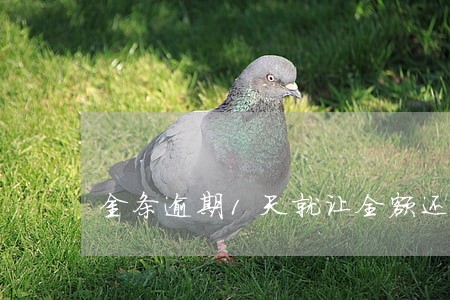 金条逾期1天就让全额还款 金条逾期1天就让全额还款
