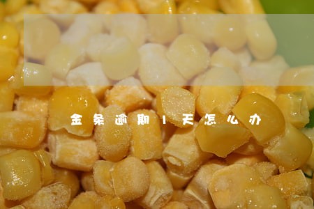 金条逾期1天怎么办 金条逾期1天怎么办