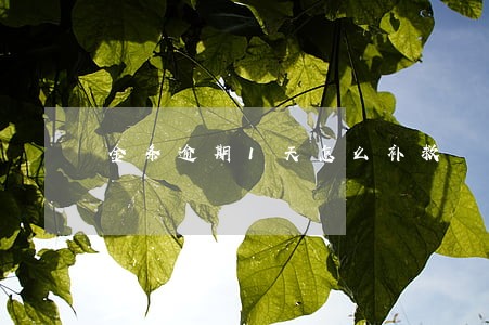 金条逾期1天怎么补救 金条逾期1天怎么补救