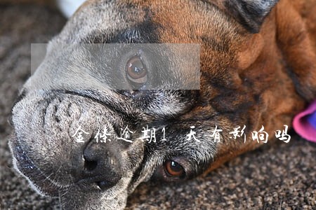 金条逾期1天有影响吗 金条逾期1天有影响吗