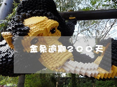 金条逾期200天 金条逾期200天