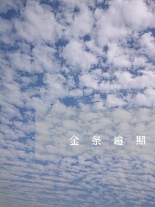 金条逾期20多天 金条逾期20多天
