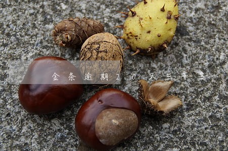 金条逾期20天三千多 金条逾期20天三千多