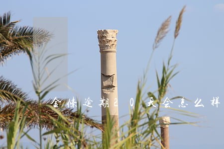 金条逾期20天会怎么样 金条逾期20天会怎么样