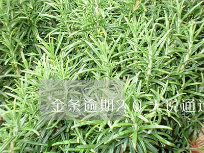金条逾期20天说通过法律解决 金条逾期20天说通过法律解决