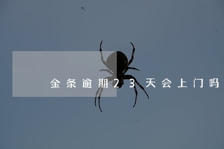 金条逾期23天会上门吗 金条逾期23天会上门吗