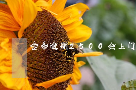 金条逾期2500会上门催收吗