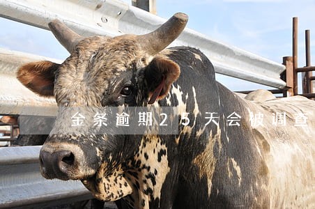 金条逾期25天会被调查吗 金条逾期25天会被调查吗
