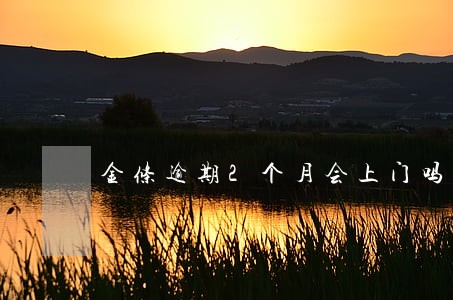 金条逾期2个月会上门吗 金条逾期2个月会上门吗