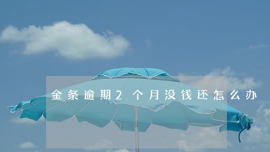 金条逾期2个月没钱还怎么办 金条逾期2个月没钱还怎么办