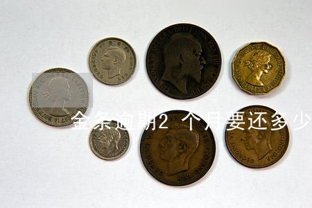 金条逾期2个月要还多少钱 金条逾期2个月要还多少钱