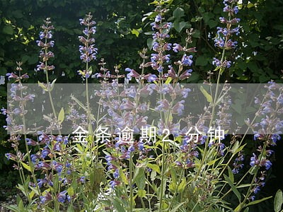 金条逾期2分钟 金条逾期2分钟