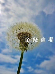 金条逾期2天上征信了 金条逾期2天上征信了