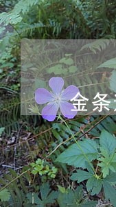 金条逾期2天上征信吗2019