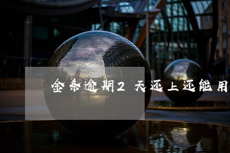 金条逾期2天还上还能用吗 金条逾期2天还上还能用吗