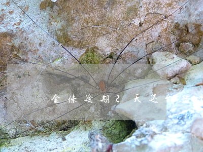金条逾期2天还能借出吗 金条逾期2天还能借出吗