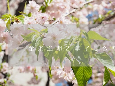 金条逾期2年了怎么办 金条逾期2年了怎么办