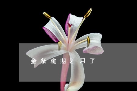 金条逾期2月了 金条逾期2月了