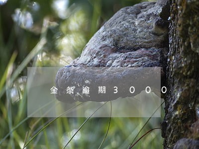 金条逾期3000 金条逾期3000