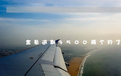 金条逾期3500两个月了怎么办 金条逾期3500两个月了怎么办