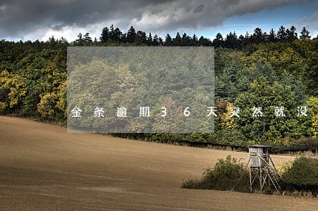 金条逾期36天突然就没短信了 金条逾期36天突然就没短信了