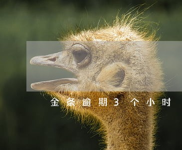 金条逾期3个小时 金条逾期3个小时