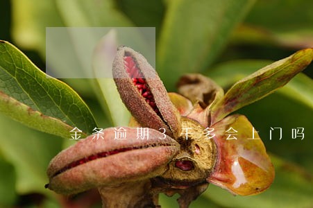 金条逾期3千多会上门吗 金条逾期3千多会上门吗