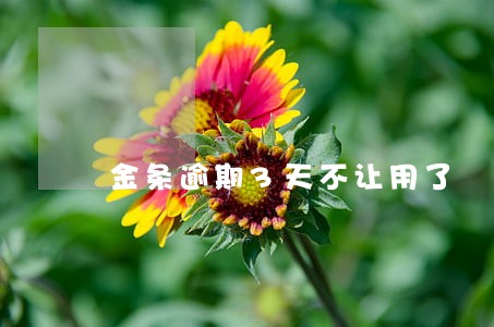 金条逾期3天不让用了 金条逾期3天不让用了