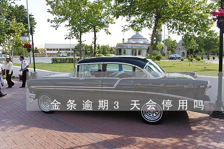 金条逾期3天会停用吗 金条逾期3天会停用吗