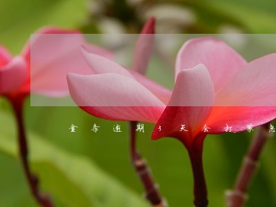 金条逾期3天会打紧急联系人吗 金条逾期3天会打紧急联系人吗