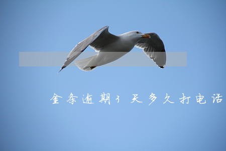 金条逾期3天多久打电话 金条逾期3天多久打电话