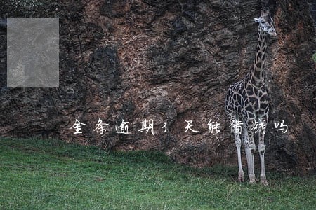 金条逾期3天能借钱吗 金条逾期3天能借钱吗