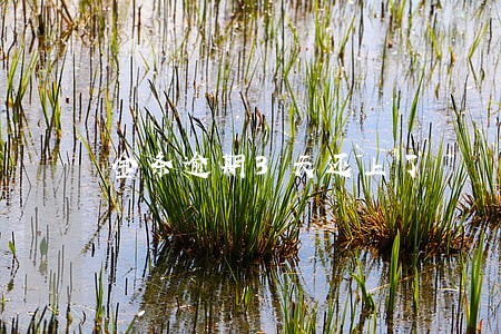 金条逾期3天还上了 金条逾期3天还上了