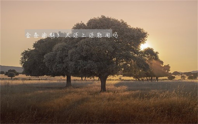 金条逾期3天还上还能用吗 金条逾期3天还上还能用吗