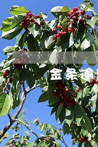金条逾期400 金条逾期400