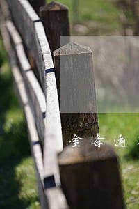 金条逾期400上门 金条逾期400上门