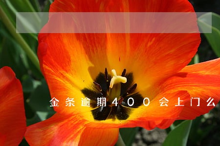 金条逾期400会上门么 金条逾期400会上门么
